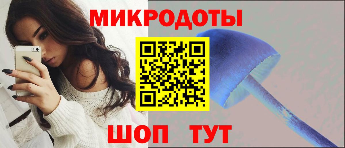 Псилоцибиновые грибы Psilocybine cubensis Набережные Челны